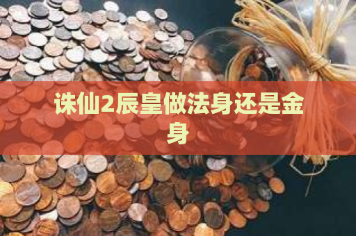 诛仙2辰皇做法身还是金身